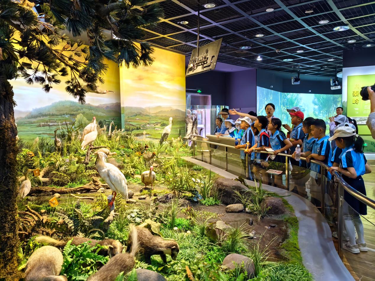 ������Ե-�ٷ���վ - ��ҳ