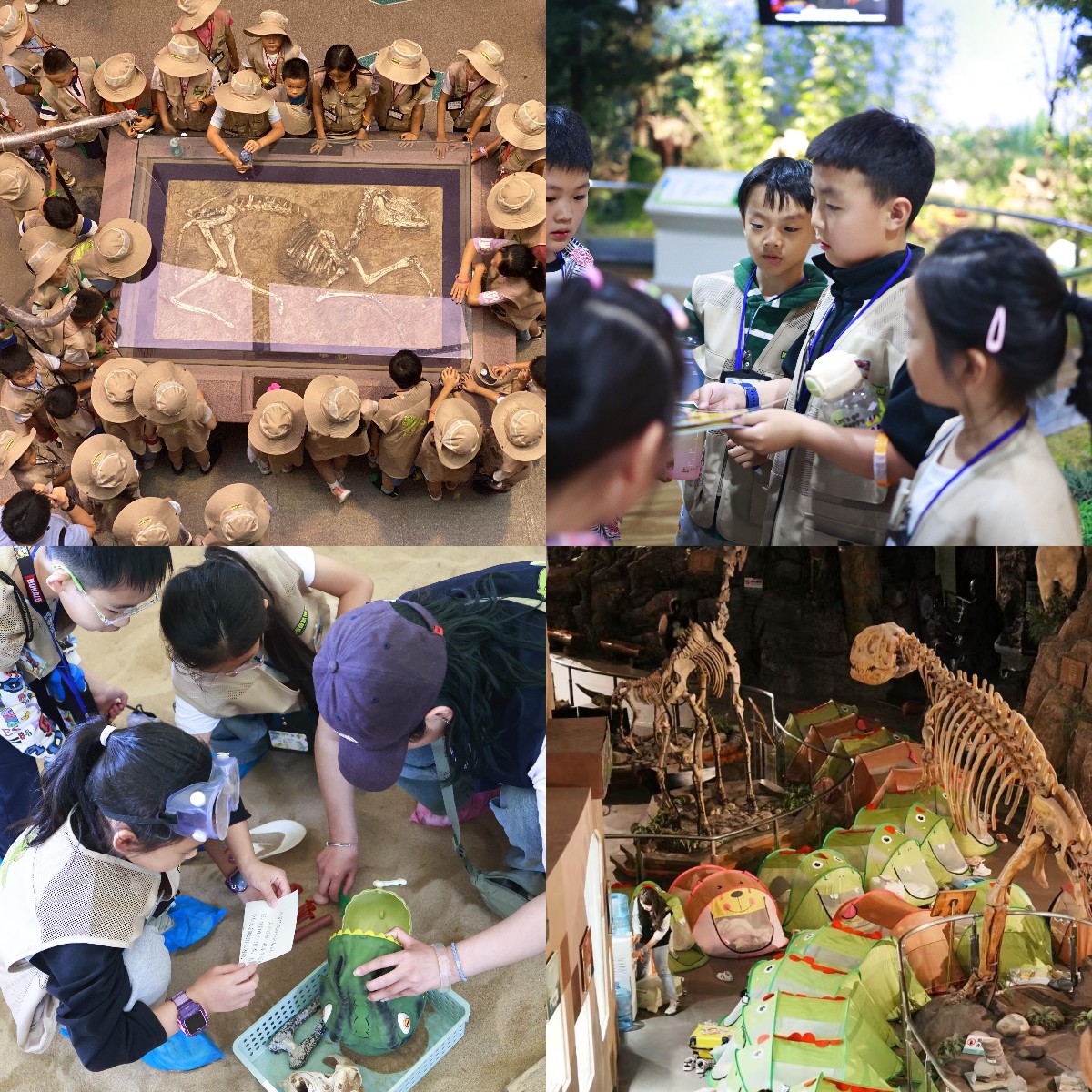 ������Ե-�ٷ���վ - ��ҳ