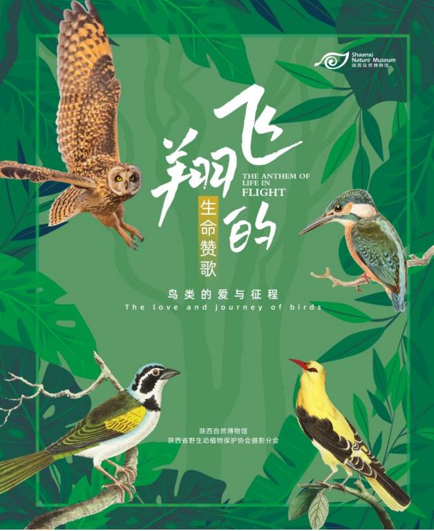 ������Ե-�ٷ���վ - ��ҳ